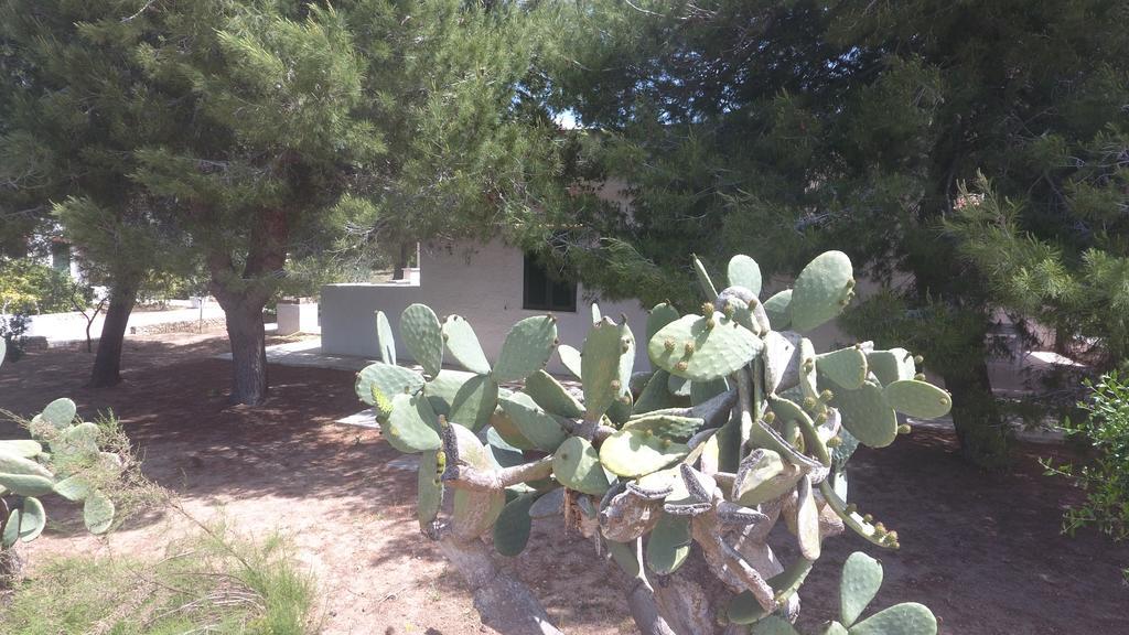 Appartamenti In Villa Senia Favignana Eksteriør billede