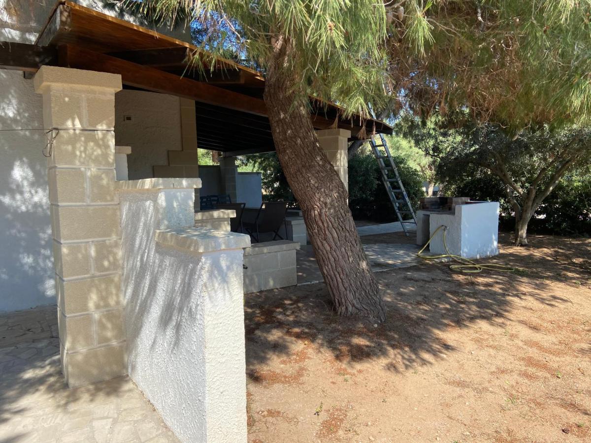 Appartamenti In Villa Senia Favignana Eksteriør billede